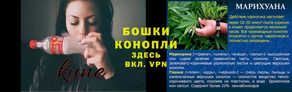 тгк Бородино