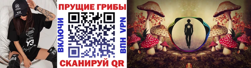 Галлюциногенные грибы MAGIC MUSHROOMS  закладки  Севастополь 