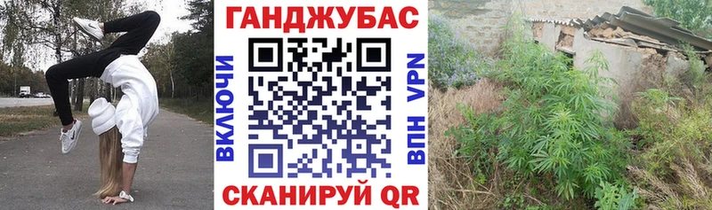 Конопля MAZAR  Севастополь 
